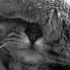 Екатерина Баева, 08.01, Самара