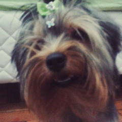 Maria Fraga, 09.04.1993