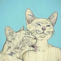 Антон Воронкович, 12.12.1986, Дальнереченск