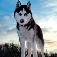 Коля Отинов, 23.05, Южноуральск