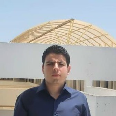 Zied Dridi, 25.06.1989, Toronto