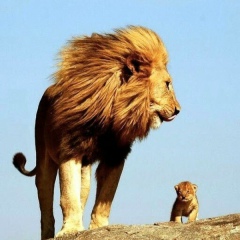 Руслан Адекинов, 17.07, Алматы