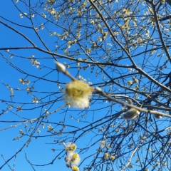 Ольга Федорова, 11.05.1976, Санкт-Петербург