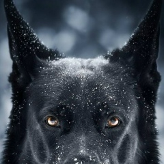 Андрей Митраченков, 15.05.1987, Санкт-Петербург