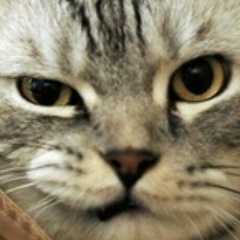 Art Alberti, 23.09.1906, Пенза