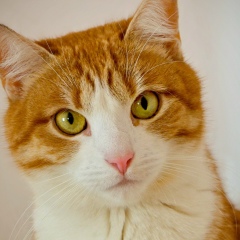 Юрий Плюхин, 04.03, Москва