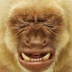 Дёнис Аввакумов, 03.01.1984, Санкт-Петербург