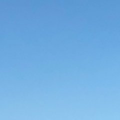 Ольга Богатых