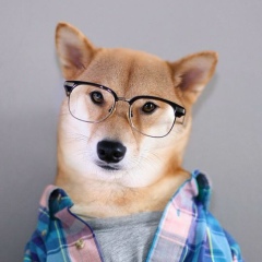 Роман Некрасов, 14.10.1984, Воронеж