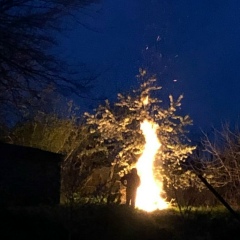 Александр Смоквин, 01.12.1909, Ставрополь