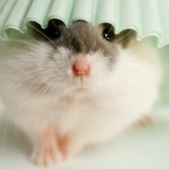 Лена Корытова, 06.05, Москва