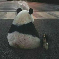 Александр Сафонов, Санкт-Петербург