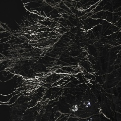 Марк Гте, 31.12