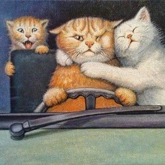 Дмитрий Димов, 05.08