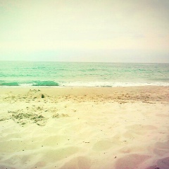 Катя Новик, 26.02, Чернигов