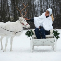 Наталья Михеева, Санкт-Петербург