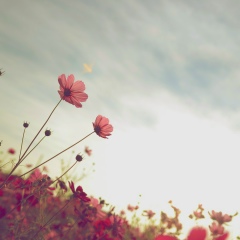 Amélie Smiters, 25.03.1994, Mimizan