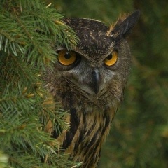 Лидия Жигулева, 24.03, Москва