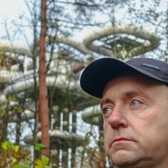 Дмитрий Кушнер, Гомель