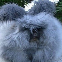 Женя Колос, Светлодарск