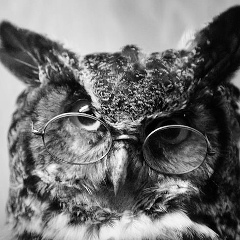 Игорь Кальнин, 14.04.1986, Таганрог