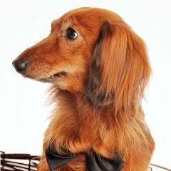 Денис Графов, 07.08, Санкт-Петербург