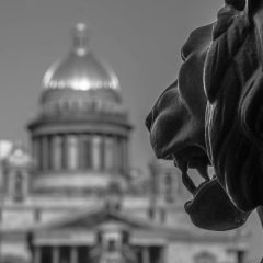 Роман Соболев, Санкт-Петербург