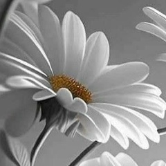 Ангелина Бахвалова, 11.12, Санкт-Петербург