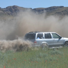 Максим Полтарак, 29.07.1982