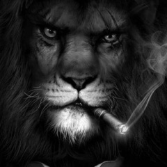 Сергей Басов, 06.08.1985, Ростов-на-Дону