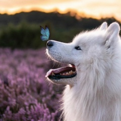 Луара Нурмуханова, 10.04.1980, Алматы