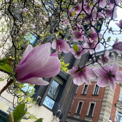 Ирина Вечерова, Москва