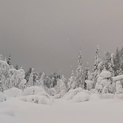 Илья Волков, 03.12, Екатеринбург