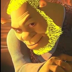 Алексей Кенгуров, Санкт-Петербург