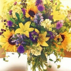 Гульмира Аширова, Алматы