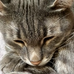 Алексей Китов, 20.05.1985