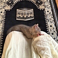 Мадина Исламова