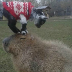 Иван Иванов, 10.04, Москва