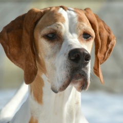 Анна Баранова, 29.05, Москва