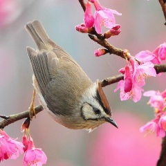 Настя Королевич, 27.05.1987, Львов