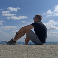 Владимир Полис