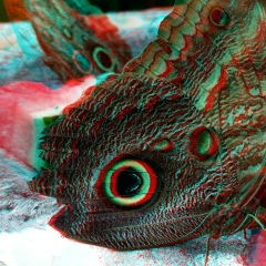 Aung Soe, 04.02.1990, Mawlamyine