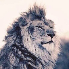 Alisher Bulikeyev, 01.01, Алматы