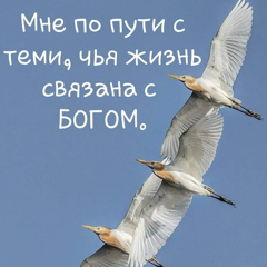 Александр Гуль, 28.12.1984, Одесса