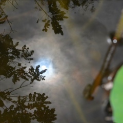 Оля Предеина, 25.12, Екатеринбург