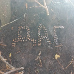 Даргин Дагестана, 25.01.1991, Избербаш