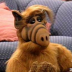 Даниил Кузнецов, 14.11, Санкт-Петербург