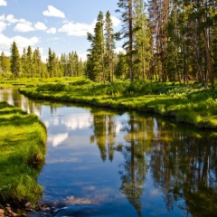Алексей Иващенков, 06.06, Москва