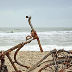 Яна Алоянц, Санкт-Петербург