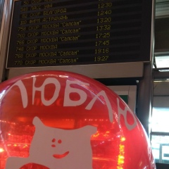 Данна Макарова, 21.11, Санкт-Петербург